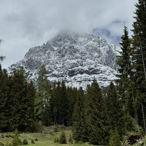 Dachstein-Schnee